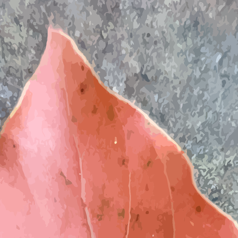 Abstract blushing leaf on stone - The Channon NSW Australia